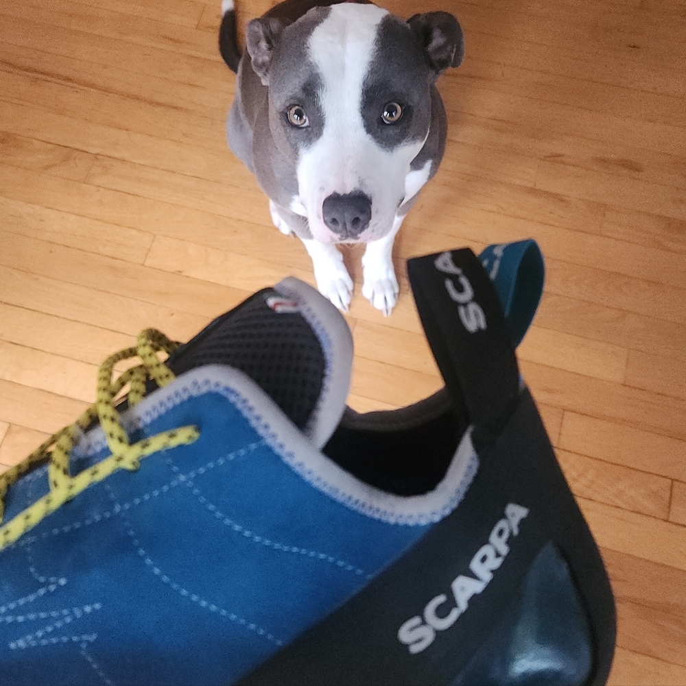 Scarpa HELIX Men's Rockclimbing Shoes